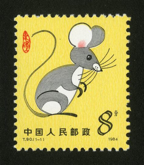 1984甲子年